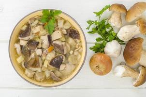 Bowl of forest edible porcini mushroom soup on wooden table photo