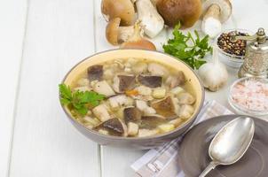 Tazón de sopa de hongos porcini comestibles del bosque en la mesa de madera foto