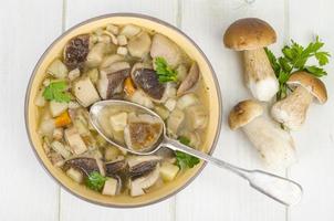 Bowl of forest edible porcini mushroom soup on wooden table photo