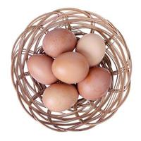 huevos de gallina recién coloreados con cáscara marrón. foto de estudio