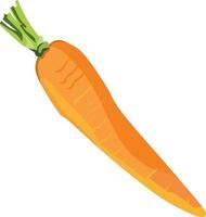 Carrot Vegetable Vector Illustration