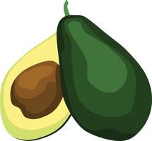 Avocado Fruit Vector Illustration