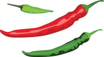 Chili Pepper Vector Illustration