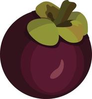 Mangosteen Fruit Vector Illustration