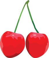 Cherry Fruit Vector Illustration