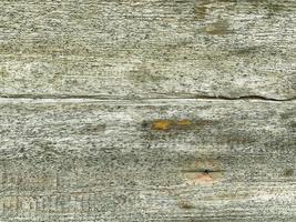 Background from old rotten cracked gray boards. Wood texture photo