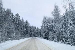 Winter. The first snow on branches of bushes and trees. photo