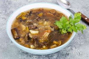 Delicious hot soup with wild mushrooms. Studio Photo. photo