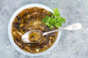 Delicious hot soup with wild mushrooms. Studio Photo. photo