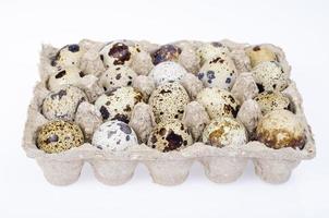 Fresh variegated quail eggs in package. Studio Photo. photo
