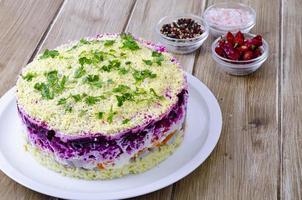 Vegetable salad with beetroot and round herring. Studio Photo