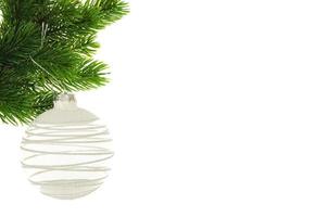 Christmas toy on fir branch with place for text, christmas concept. Studio Photo