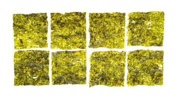 Green leaves of pressed seaweed isolated on white background. Studio Photo