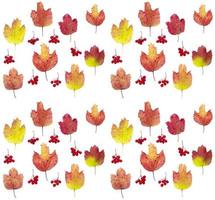 Seamless pattern. Viburnum autumn leaves of red-yellow color. Photo