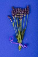 Small bunch of blue lavender flowers photo