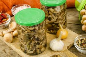 Pickled wild mushrooms in glass jar. Homemade preparations. Studio Photo