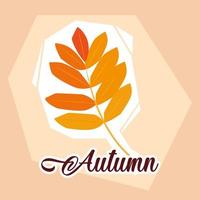 hello autumn poster with branch and leafs vector