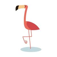 tropical flamingo bird vector