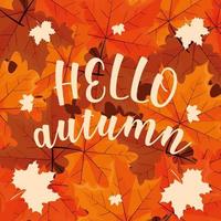 hello autumn poster with leafs pattern vector