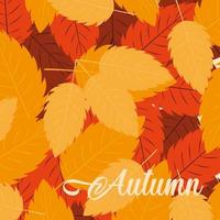 hello autumn poster with leafs pattern vector