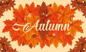 hello autumn poster with leafs pattern vector