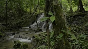 paisaje de selva tropical con cascada rodeada de exuberante vegetación de follaje.