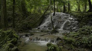 a água doce flui da cascata através das rochas da floresta tropical. video