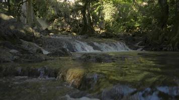 landschap van cascade in de schaduw van de bomen in het regenwoud. video