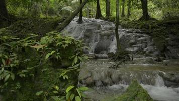 rivelare il sollevamento del colpo di acqua dolce scorre dalla cascata sotto il sole nella giungla. video