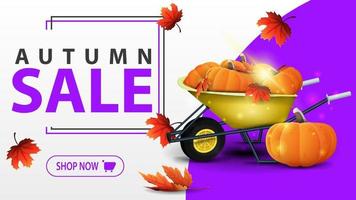 Autumn sale, white banner with garden wheelbarrow with a harvest of pumpkins and autumn leaves vector