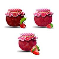 Strawberry, raspberry and cherry jam isolated on a white background for your creativity. vector