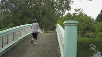 panning shot van vrouw joggen op een oude brug over natuurlijke lagune in het park. video