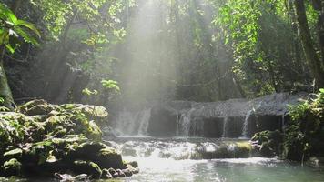 Sun rays through green trees down to waterfall in tropical forest during summer. video
