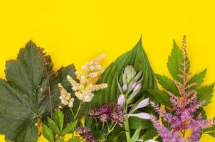 Frame mock up with garden bright flowers on yellow background. Studio Photo