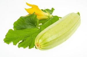Yellow flower and green zucchini leaves on white background. Studio Photo