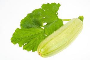 Yellow flower and green zucchini leaves on white background. Studio Photo