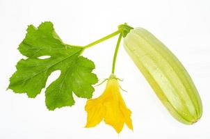 Yellow flower and green zucchini leaves on white background. Studio Photo