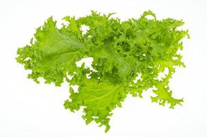 Fresh green frisee lettuce leaves isolated on white background. Studio Photo