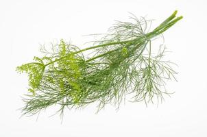 Fresh dill branches on white background. Studio Photo