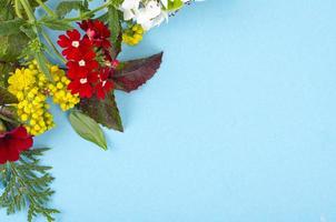 Card, collage of leaves, bright flowers on blue background. Studio Photo