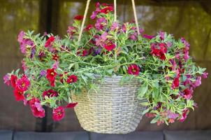 Hanging pots with ampel flowers, design of garden houses. Studio Photo