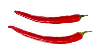 Two red hot chilli peppers isolated on white background. photo