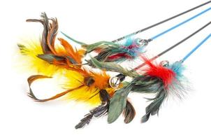 Sticks with colored feathers isolated on white background. Pet toys. photo