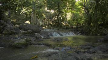 agua dulce que fluye sobre las rocas de la montaña en el bosque.