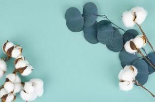 composición con flores de algodón sobre fondo brillante.