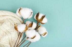 Composition with cotton flowers on bright background. photo