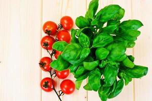 Green Fresh Basil with Tomato photo