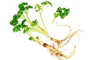 Green Parsley with Root photo