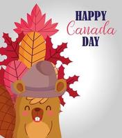 Beaver with canadian leaves and hat vector design
