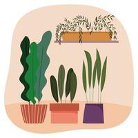 plantas en macetas jardinería decoración diseño de adornos interiores vector